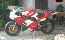 THE CRANKCASE. Bimota Db 2 SR tricolore rental hire motorcycle - Finally finished